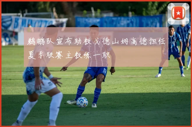 鹈鹕队宣布助教戈德山姆高德担任夏季联赛主教练一职