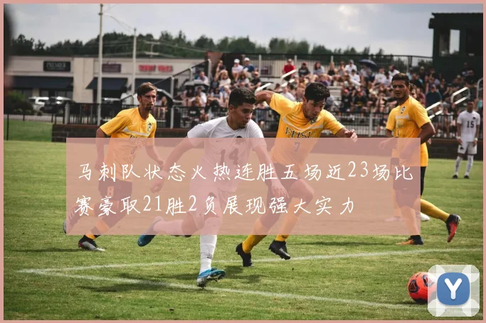 马刺队状态火热连胜五场近23场比赛豪取21胜2负展现强大实力